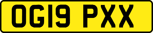 OG19PXX