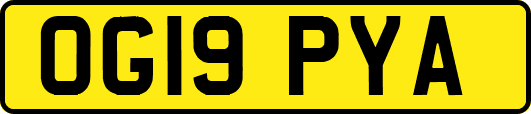 OG19PYA
