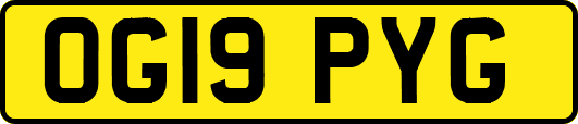 OG19PYG