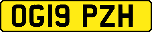 OG19PZH