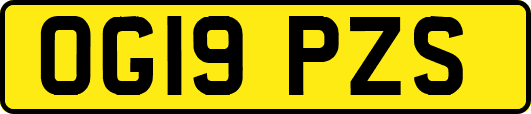 OG19PZS