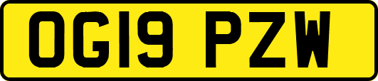 OG19PZW