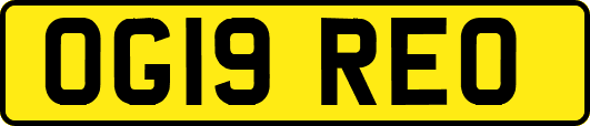 OG19REO