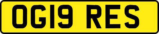 OG19RES