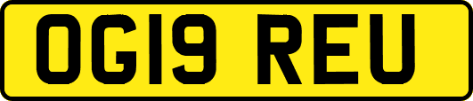 OG19REU