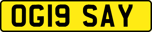 OG19SAY