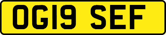 OG19SEF