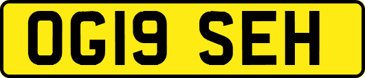 OG19SEH
