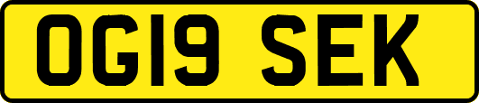 OG19SEK