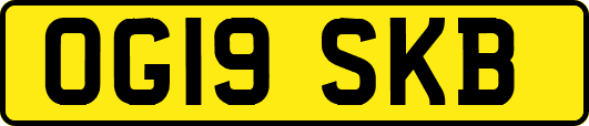 OG19SKB