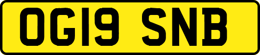 OG19SNB