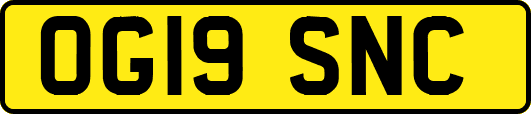 OG19SNC