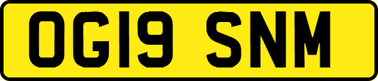 OG19SNM