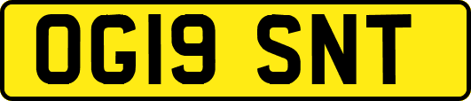OG19SNT