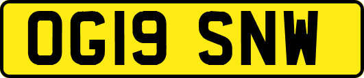 OG19SNW