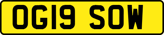 OG19SOW