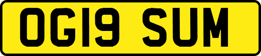 OG19SUM