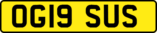 OG19SUS