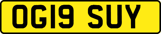 OG19SUY