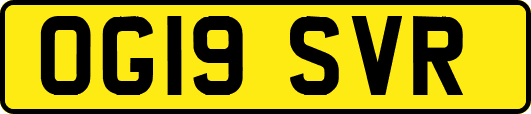 OG19SVR