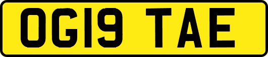 OG19TAE