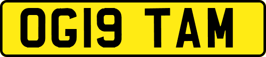 OG19TAM