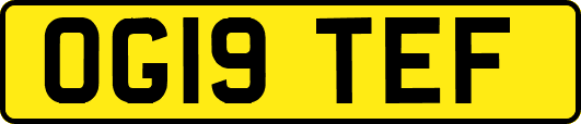 OG19TEF
