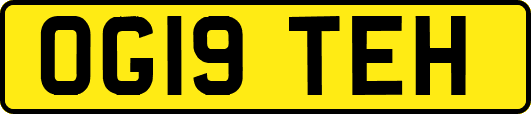 OG19TEH