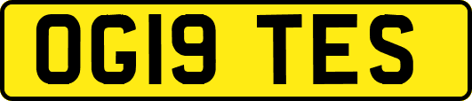 OG19TES