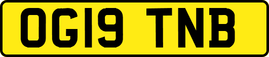 OG19TNB