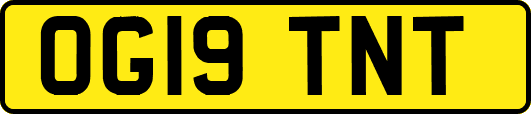 OG19TNT