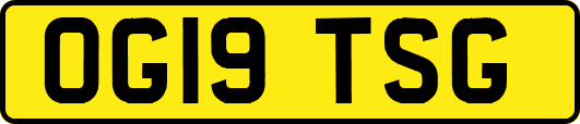 OG19TSG