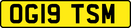 OG19TSM
