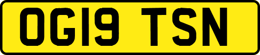 OG19TSN
