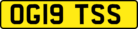 OG19TSS