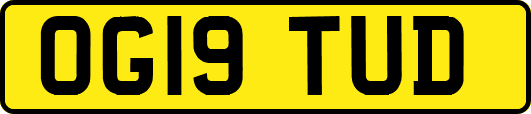 OG19TUD