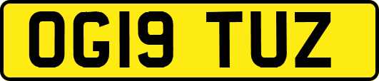 OG19TUZ