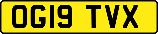 OG19TVX