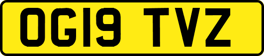 OG19TVZ
