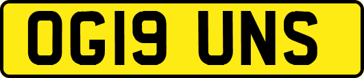 OG19UNS