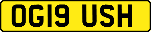 OG19USH
