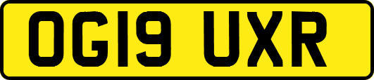 OG19UXR