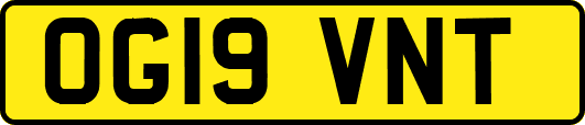 OG19VNT