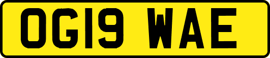 OG19WAE