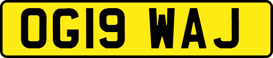 OG19WAJ