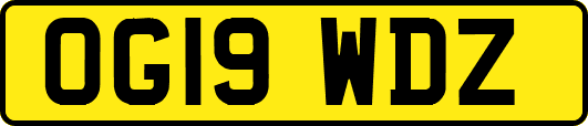 OG19WDZ