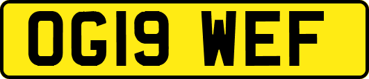 OG19WEF