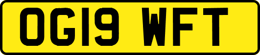 OG19WFT