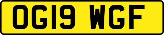 OG19WGF