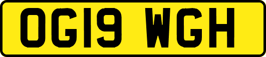 OG19WGH